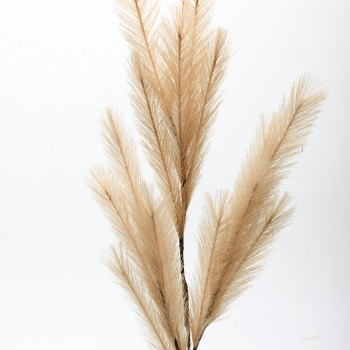 Κλαδί Pampas Grass κωδ.: 30.11.846 