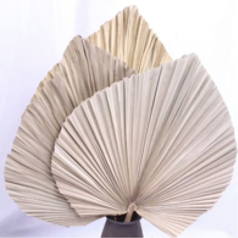 Dried palm leaves