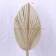 Dried palm leaves