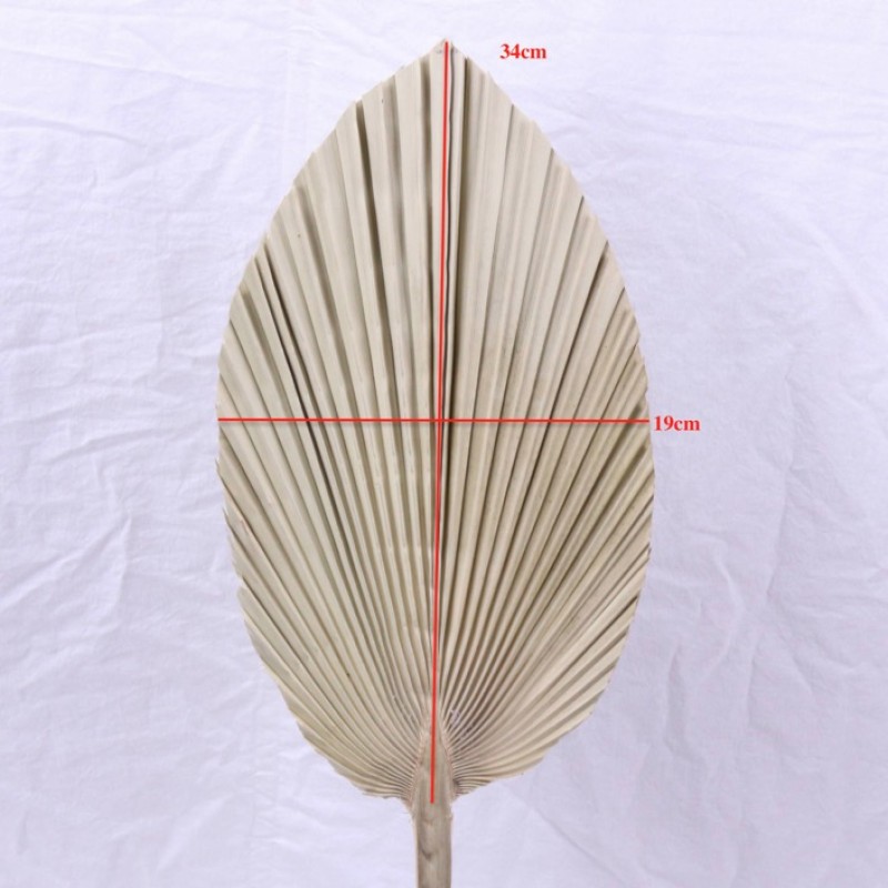 Dried palm leaves