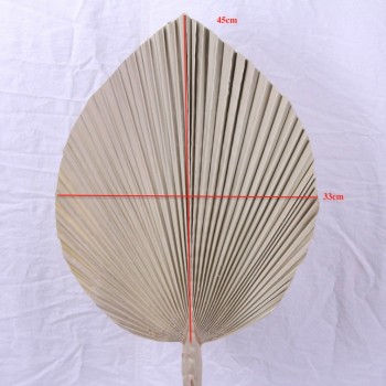 Dried palm leaves